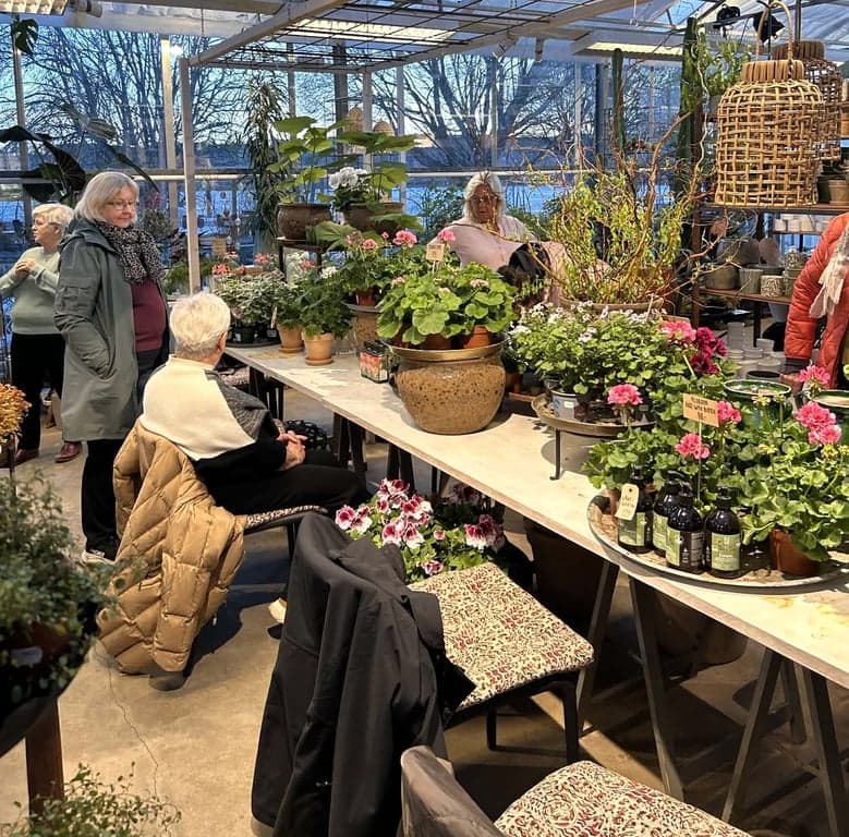 Rosehils19mars26 (11).jpg