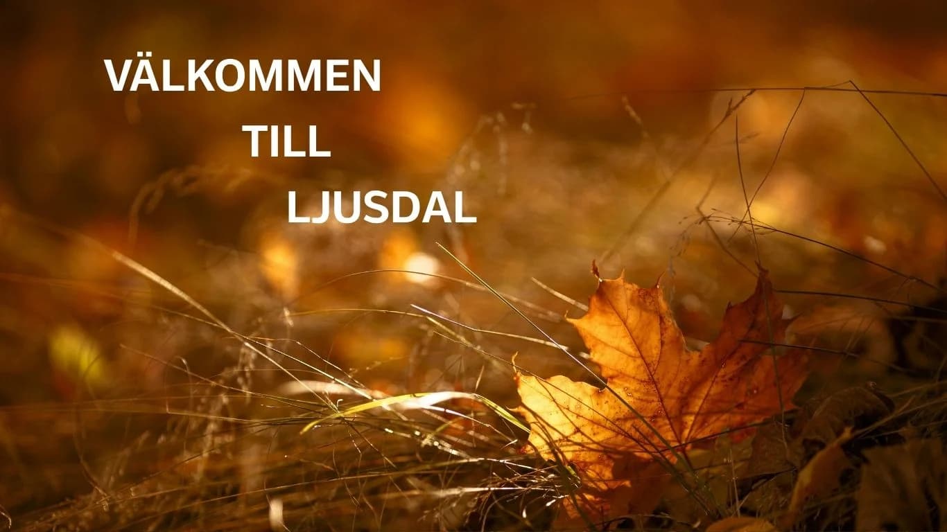hÃ¶st26.jpg