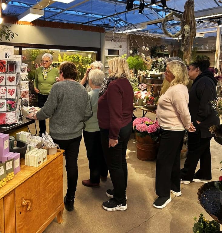 Rosehils19mars26 (5).jpg